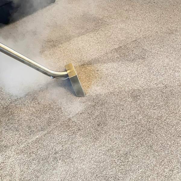 Steam carpet cleaning in Doncaster using professional hot water extraction system – Doncaster Carpet Cleaners
